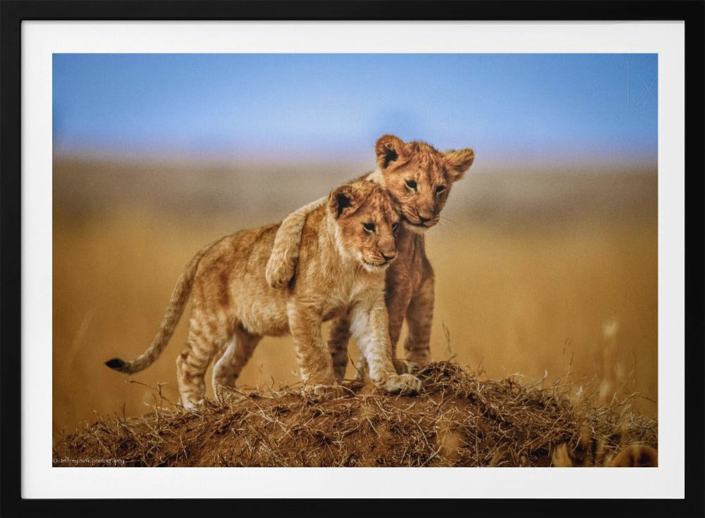 Brothers for Life | Poster