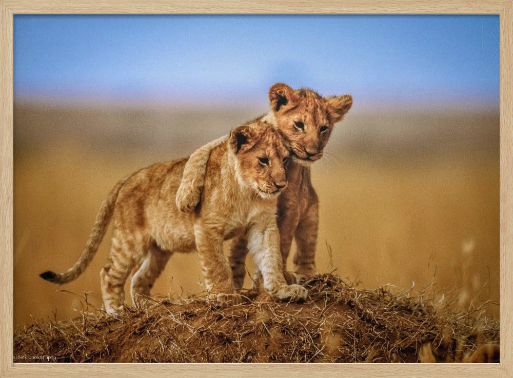 Brothers for Life | Poster