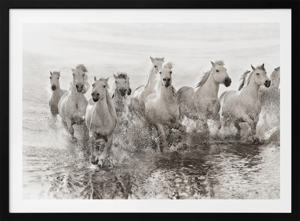 Illusion of power (13 horse power though) | Poster