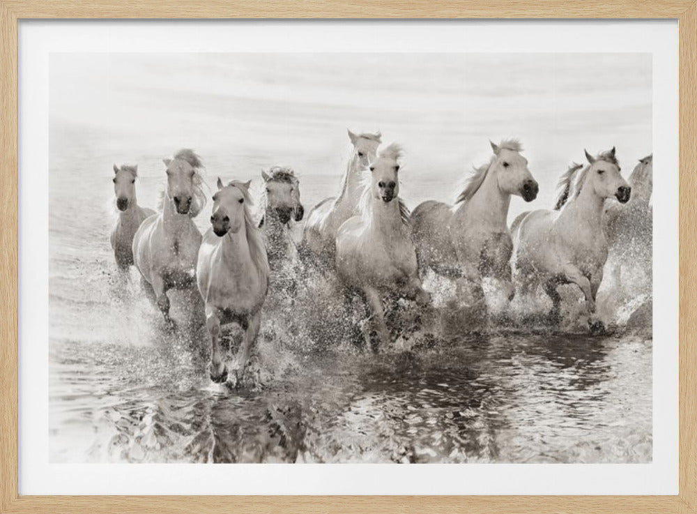 Illusion of power (13 horse power though) | Poster