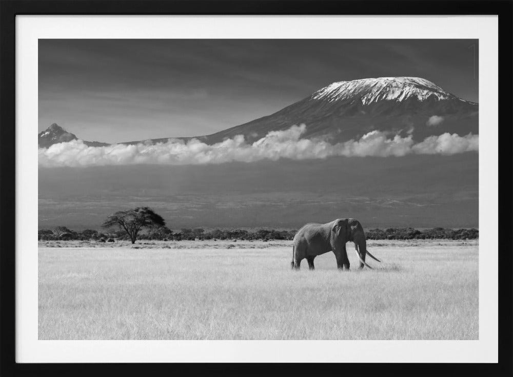 Lost Colors II | Poster