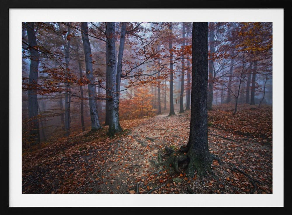 I was lost I was found | Poster