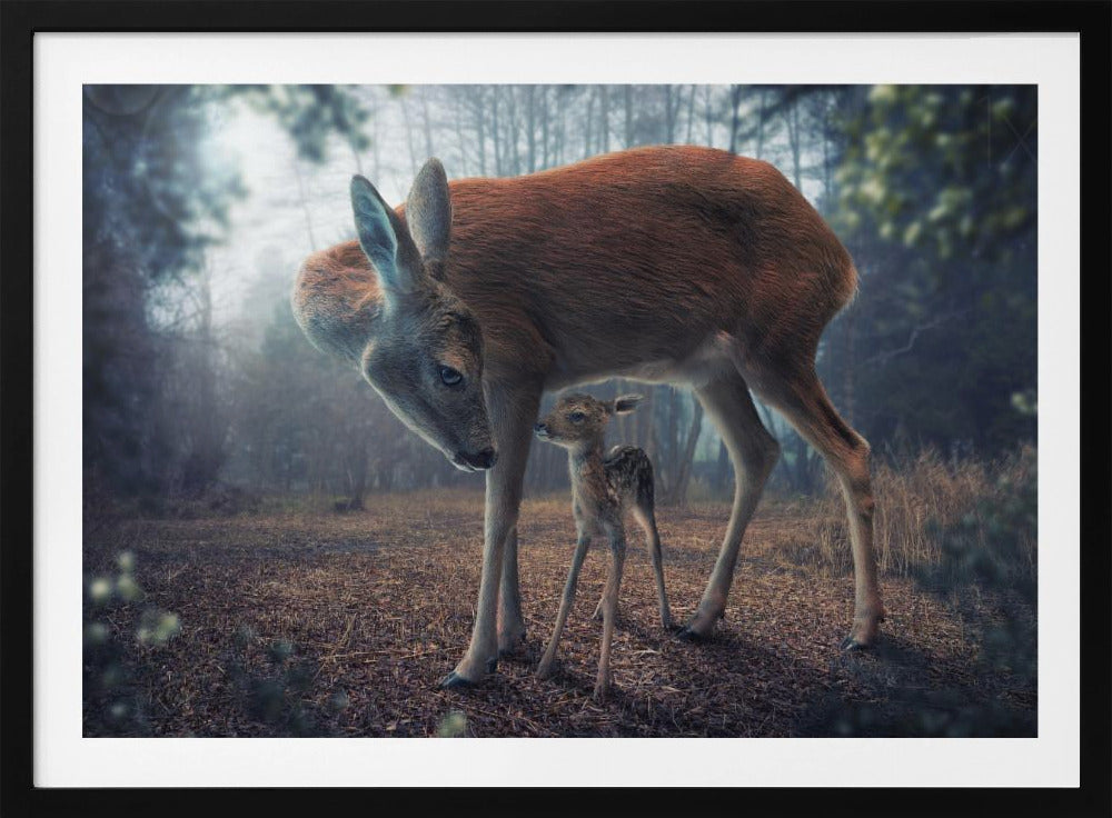 Mother and Fawn | Poster