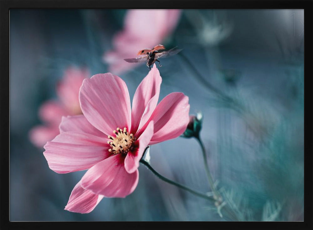 Clair de Terre | Poster