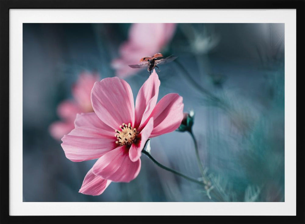 Clair de Terre | Poster