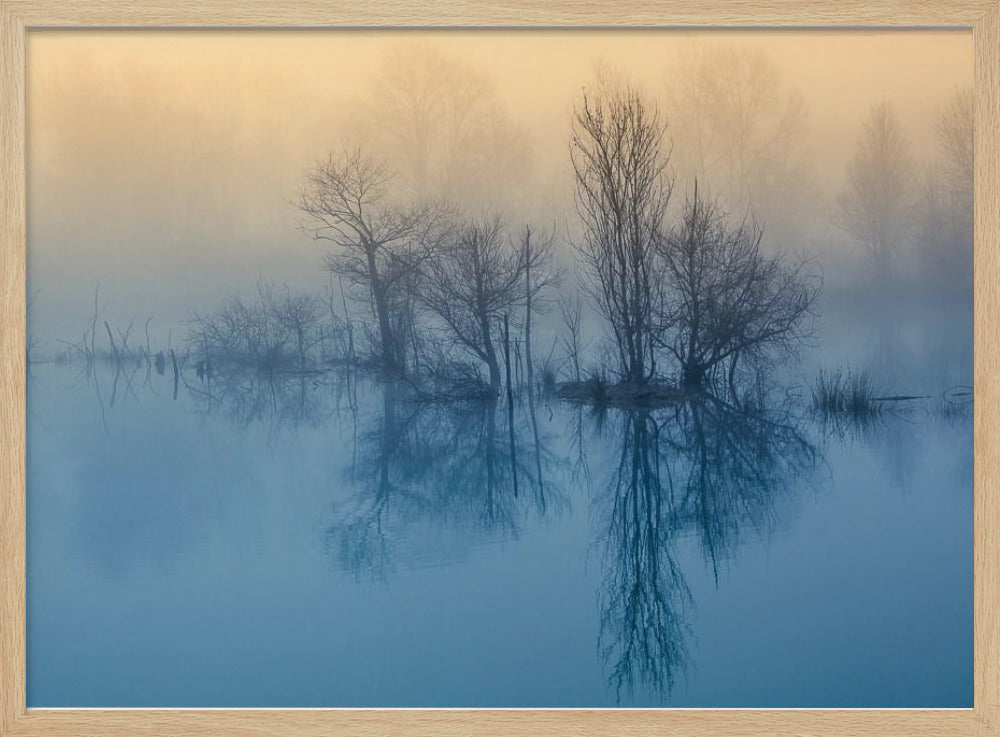 Morning reflection | Poster