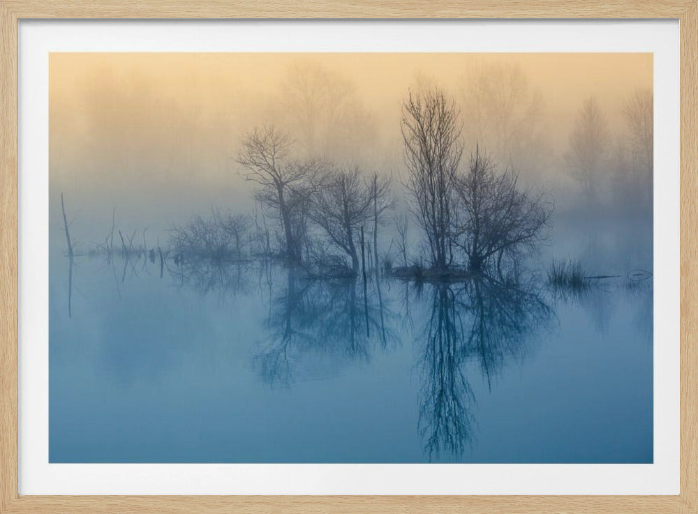 Morning reflection | Poster