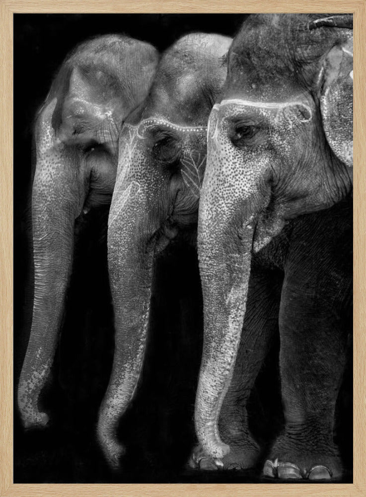 Nature\'s great masterpiece, an elephant; the only harmless great thing ... | Poster