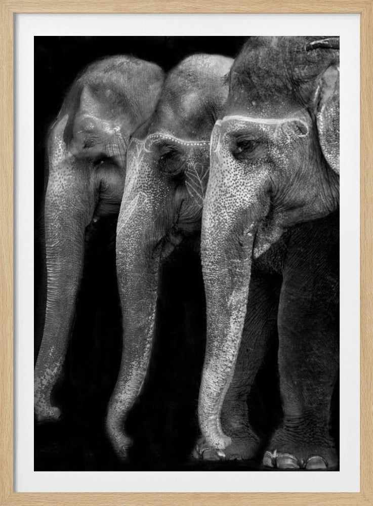 Nature\'s great masterpiece, an elephant; the only harmless great thing ... | Poster