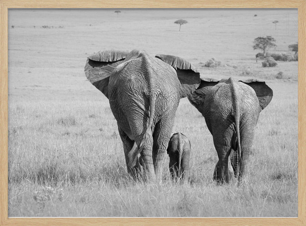 Three Butts! | Poster