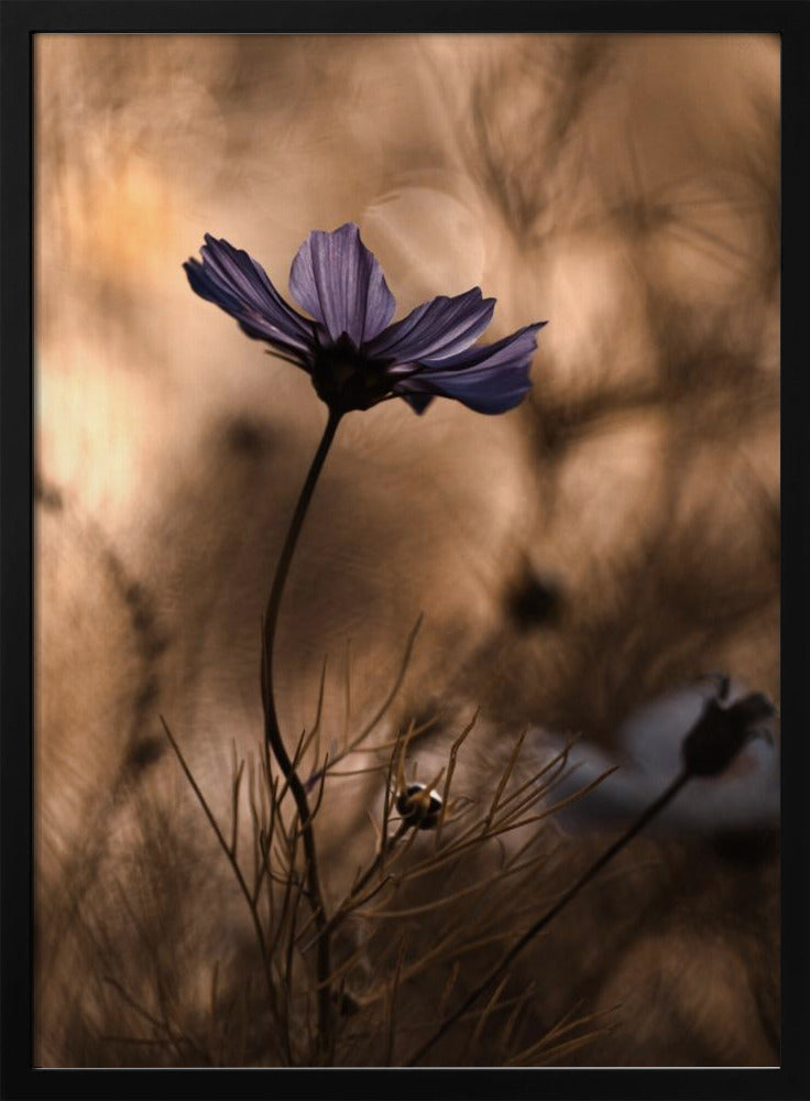 The Dancing Queen | Poster