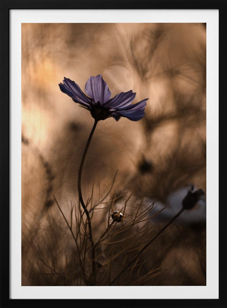 The Dancing Queen | Poster