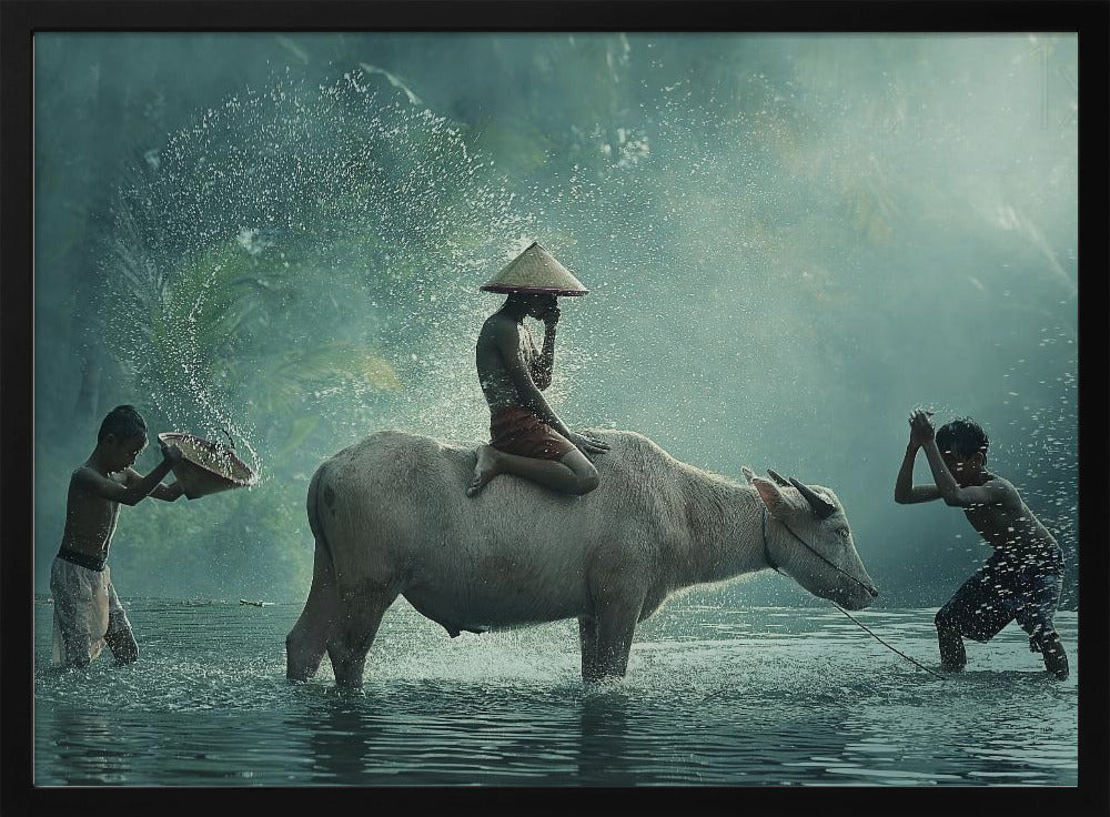 Water Buffalo | Poster