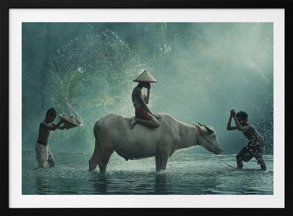 Water Buffalo | Poster