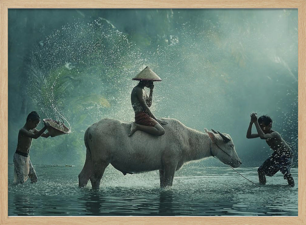 Water Buffalo | Poster