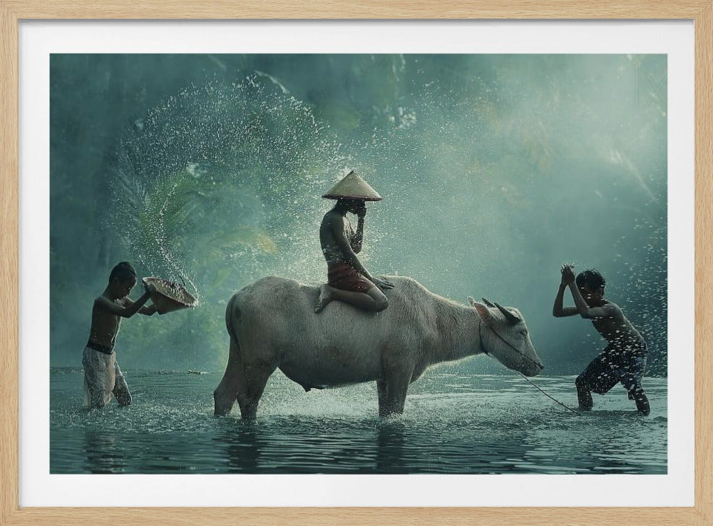 Water Buffalo | Poster