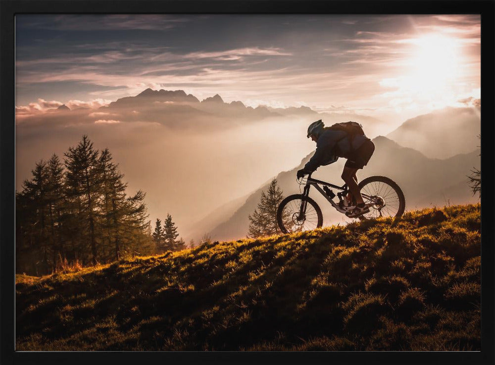 Golden hour biking | Poster
