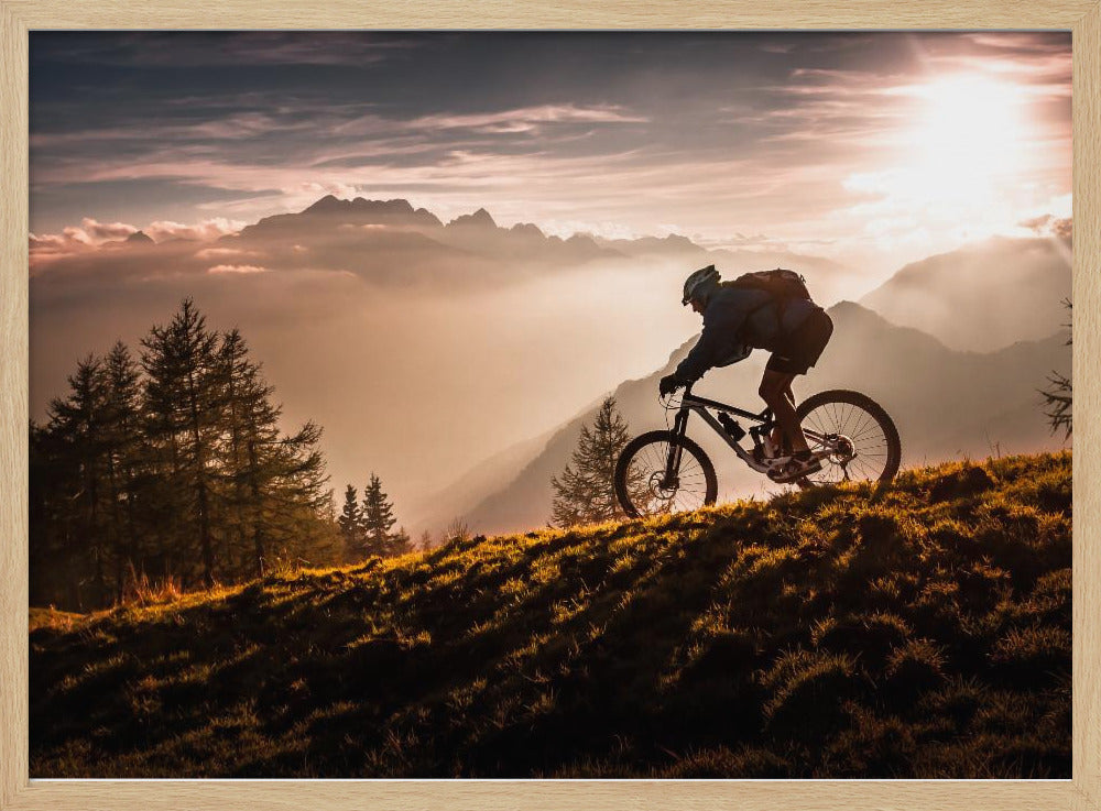 Golden hour biking | Poster