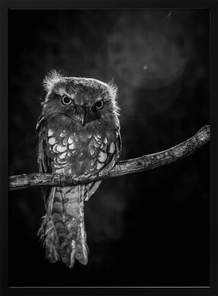 Alone in the night | Poster