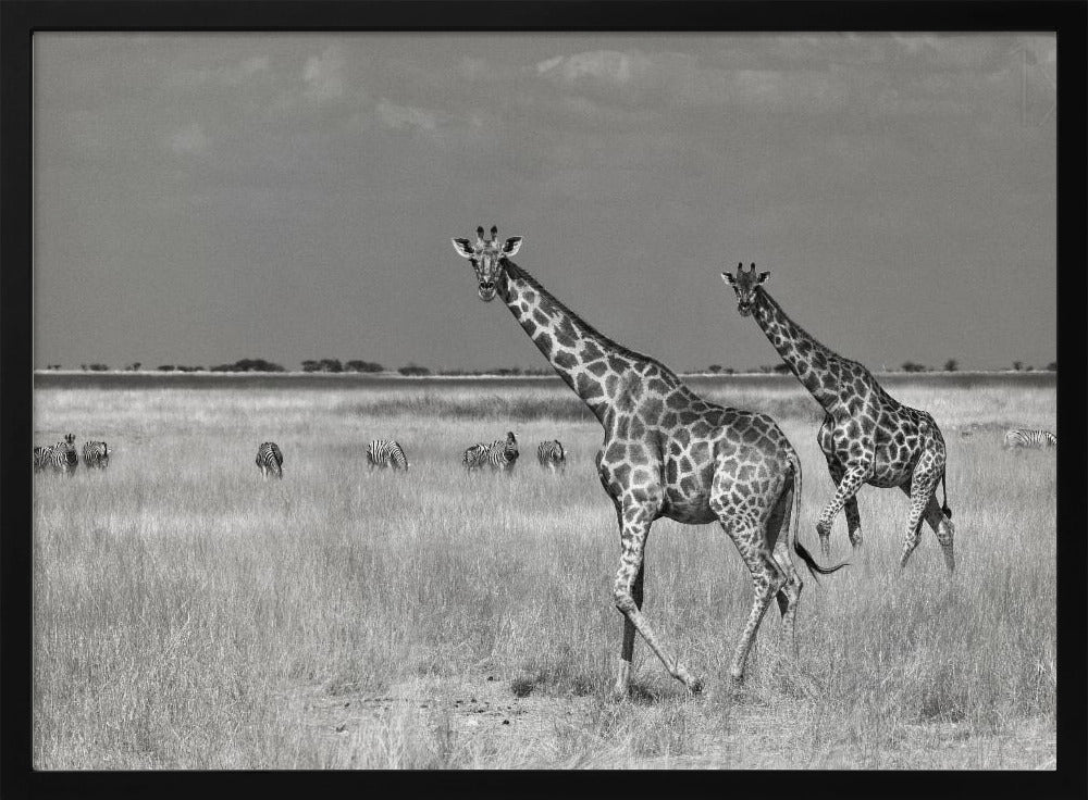 Tourists Spend | Poster