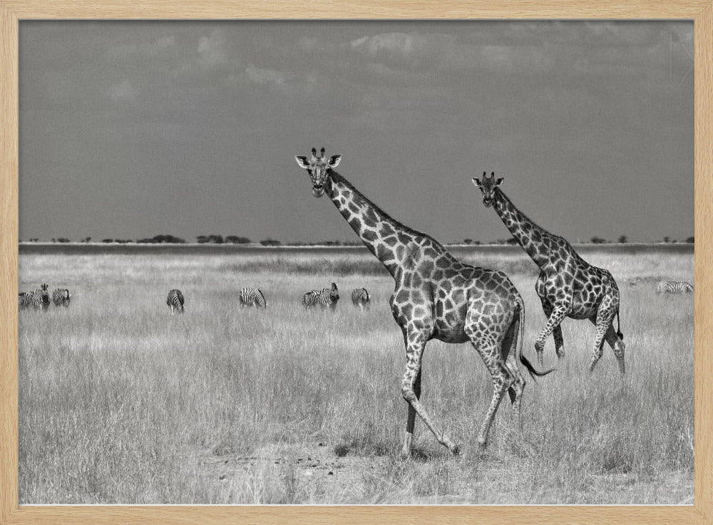 Tourists Spend | Poster