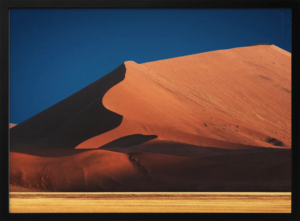 Curves in color | Poster