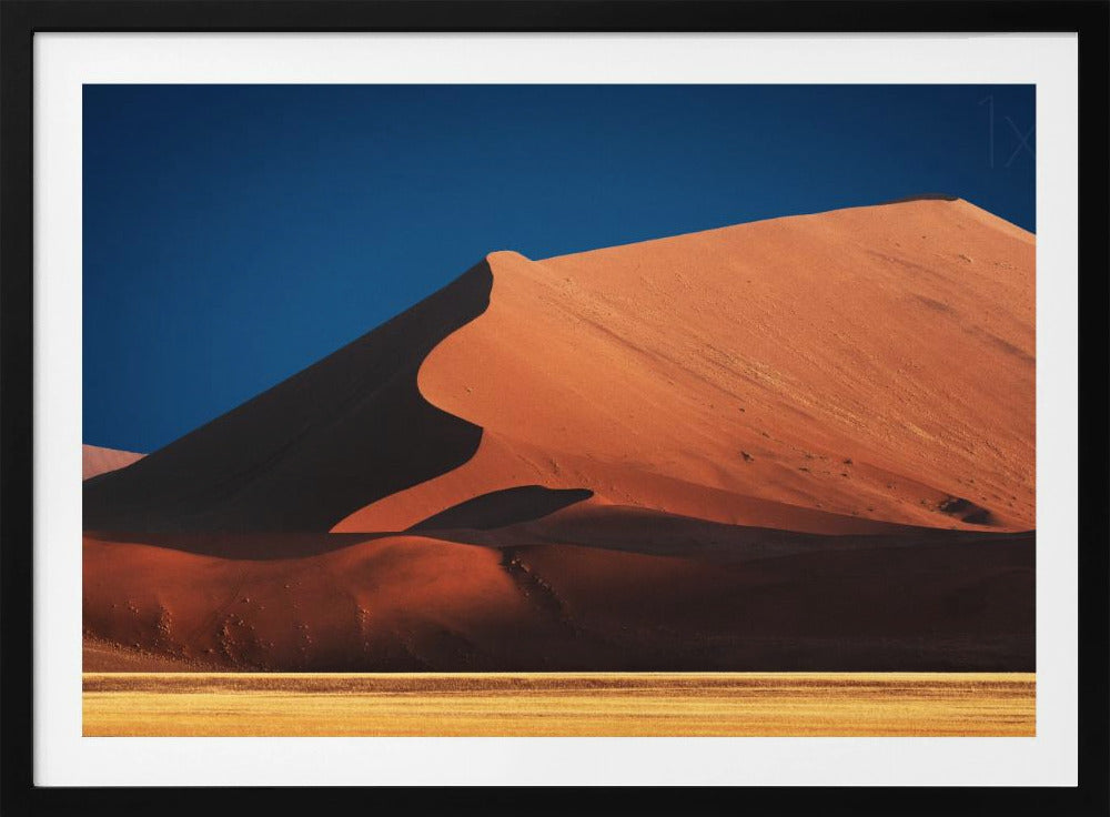 Curves in color | Poster