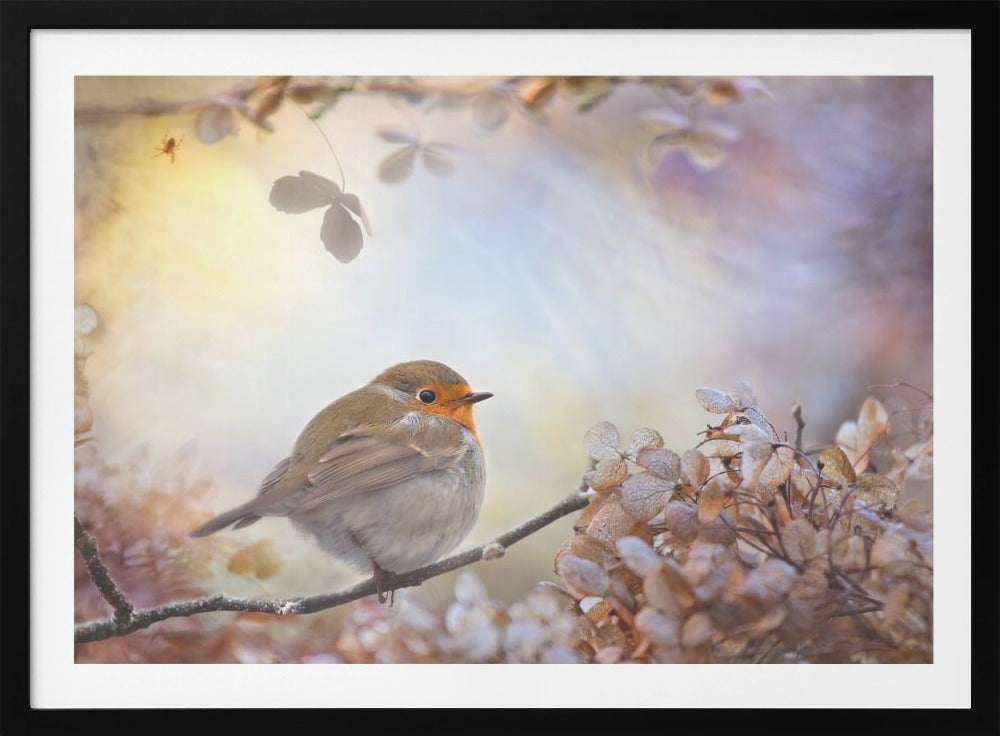 Robin on dreams | Poster