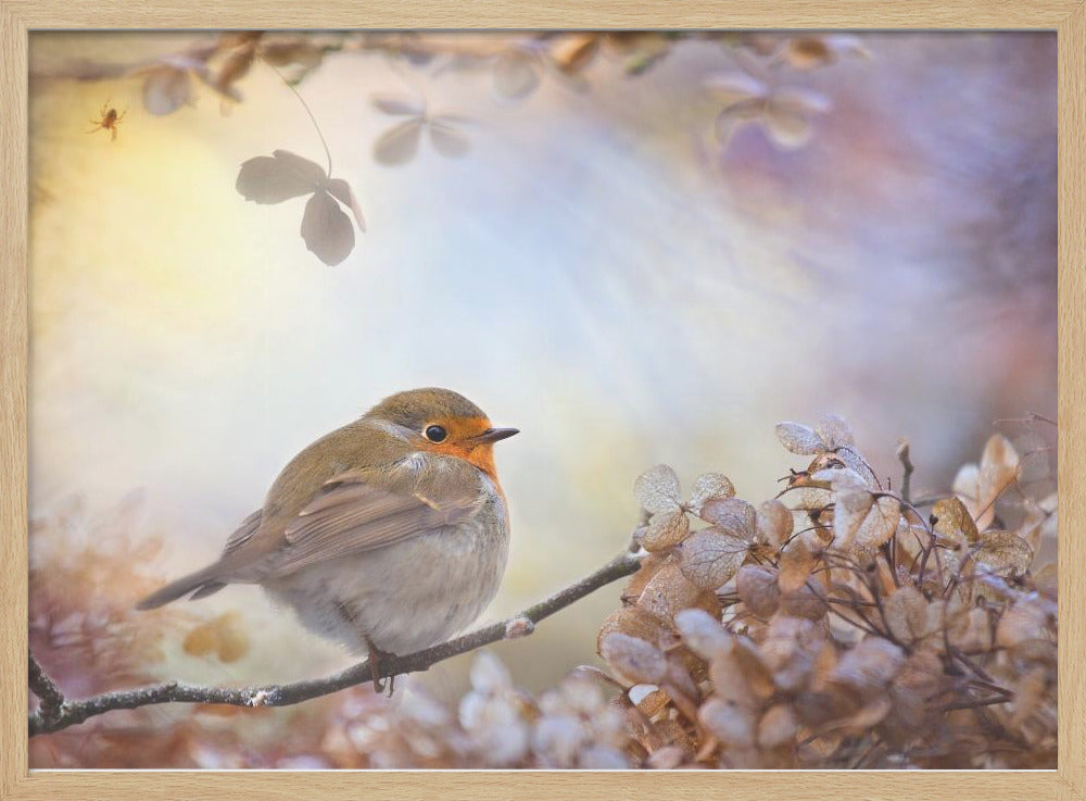 Robin on dreams | Poster