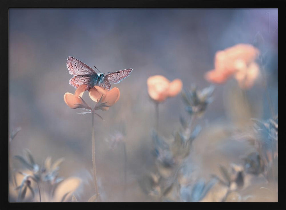 The Lady of Lothlorien | Poster