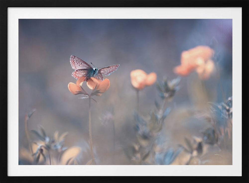 The Lady of Lothlorien | Poster