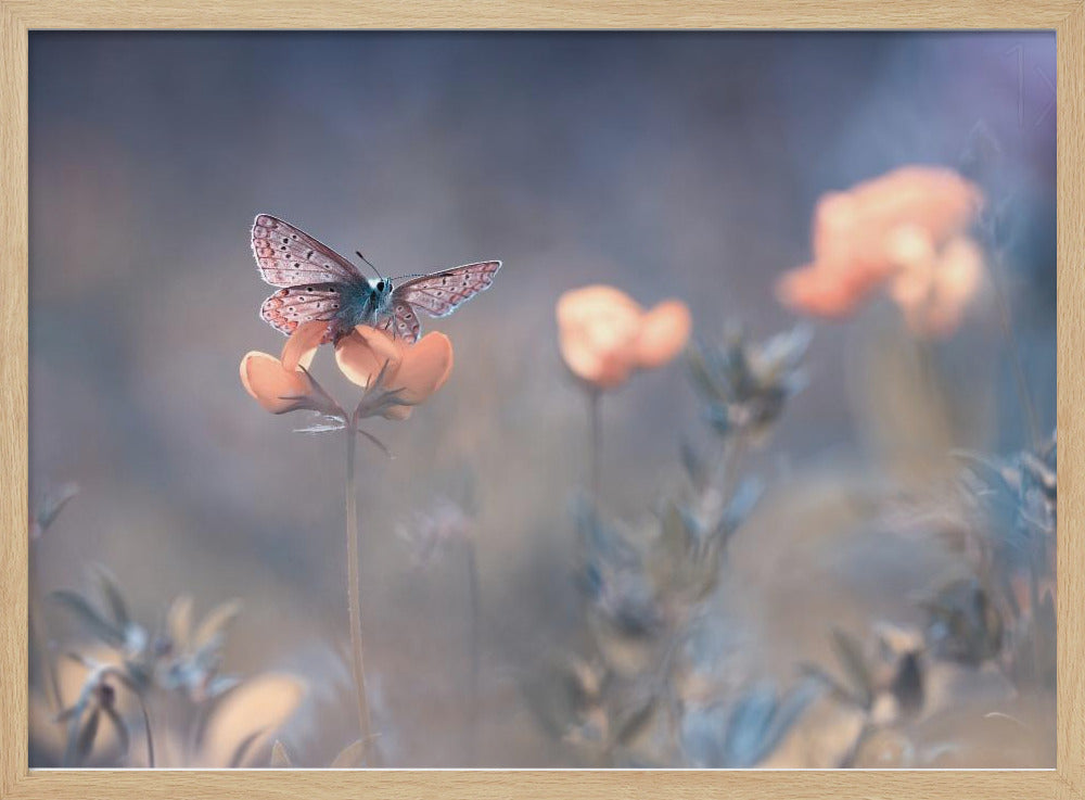 The Lady of Lothlorien | Poster