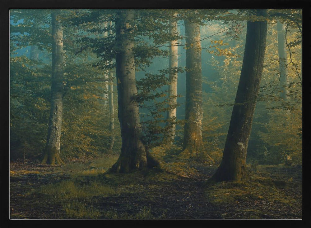 october colors | Poster