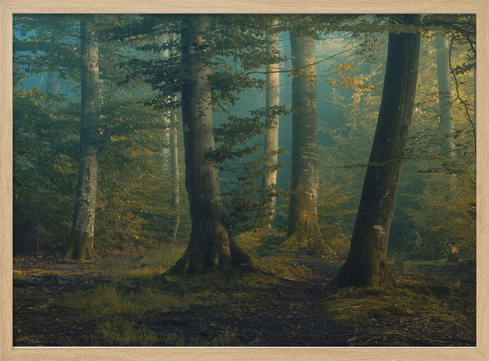 october colors | Poster