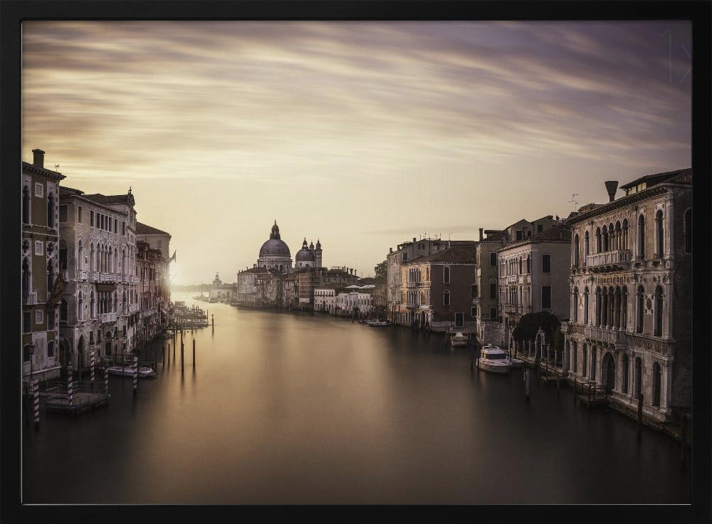 Venice | Poster