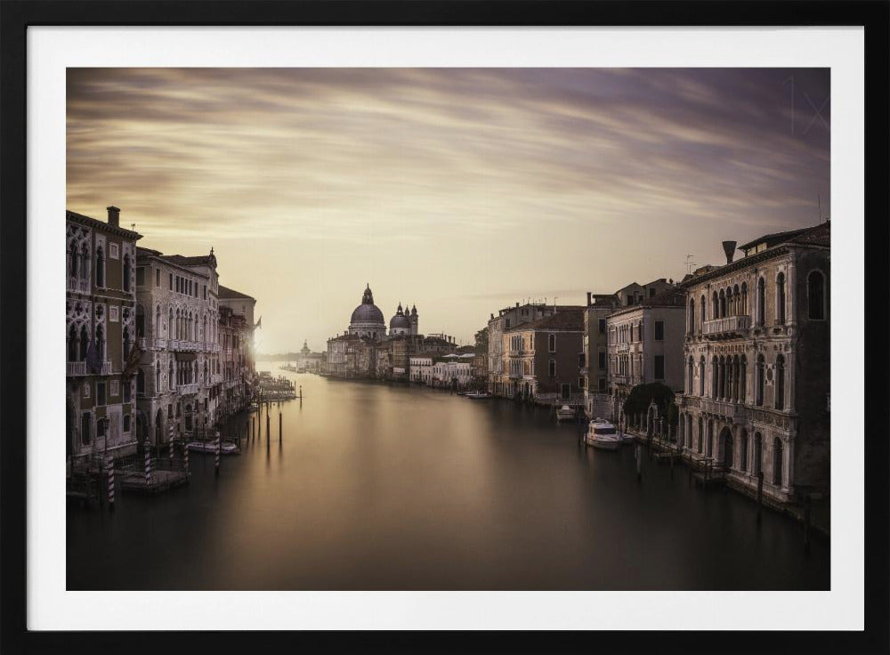 Venice | Poster