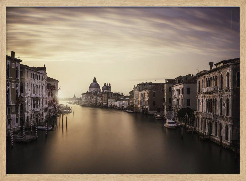 Venice | Poster