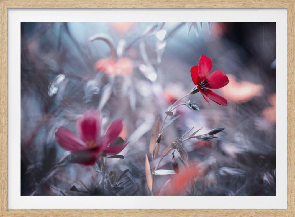 Une Fleur, une Histoire | Poster