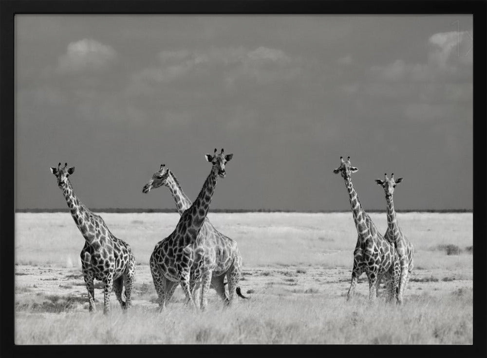 Look Girl Strange Animals | Poster