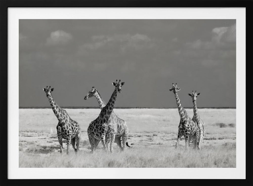 Look Girl Strange Animals | Poster