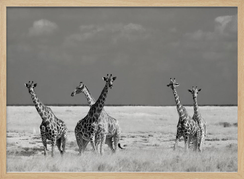 Look Girl Strange Animals | Poster