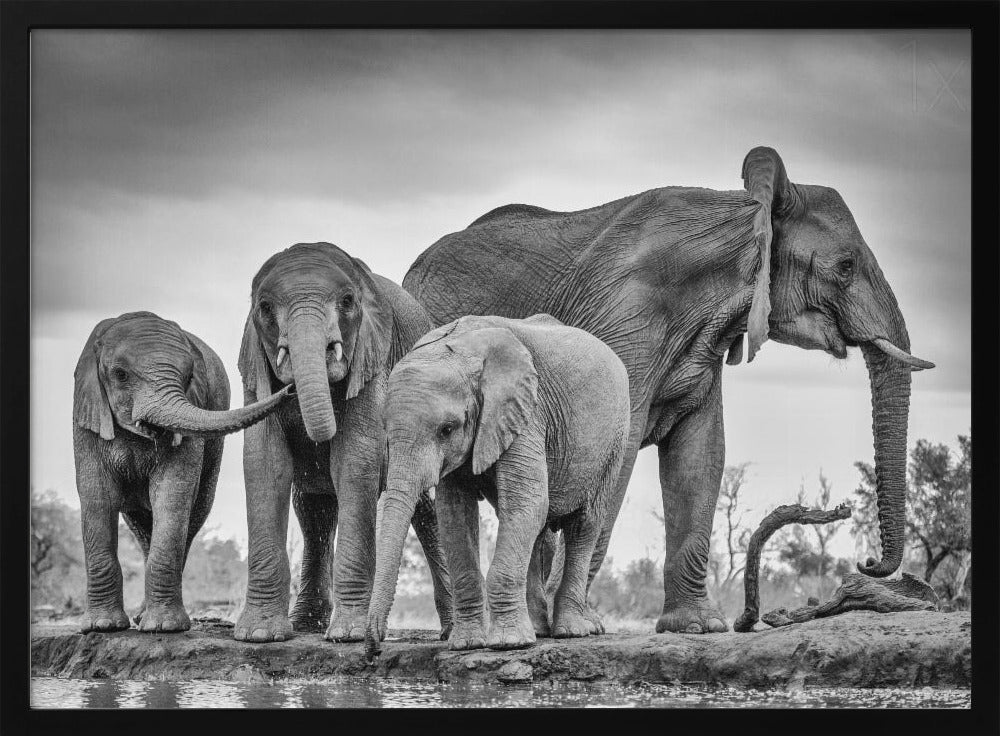 A Giant Unity | Poster