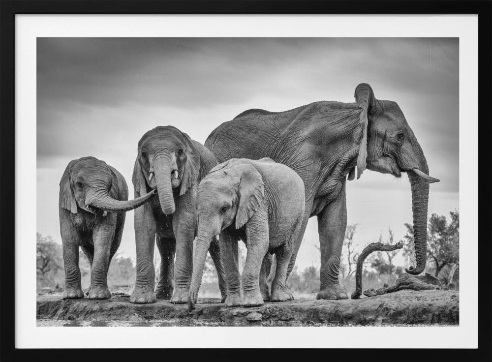 A Giant Unity | Poster