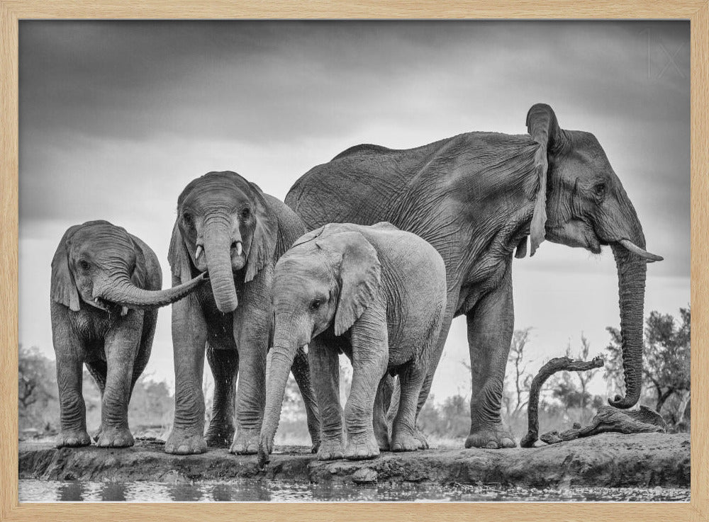 A Giant Unity | Poster