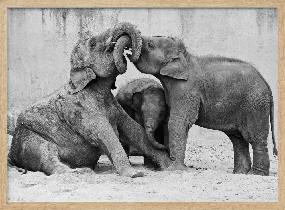 MÉNAGE À TROIS | Poster