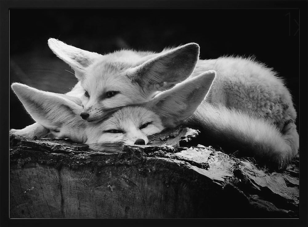 The happy couple | Poster