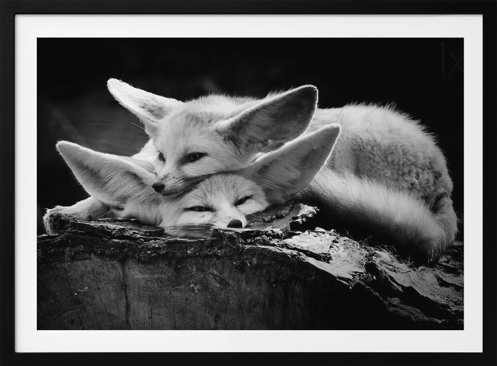 The happy couple | Poster