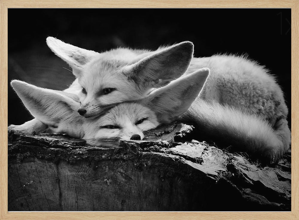 The happy couple | Poster