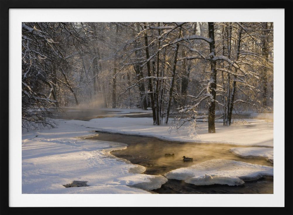 The first light | Poster