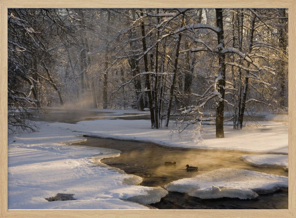 The first light | Poster